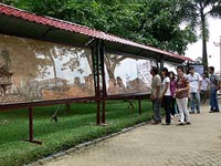 Bức tranh vỏ tràm và cánh bướm lớn nhất